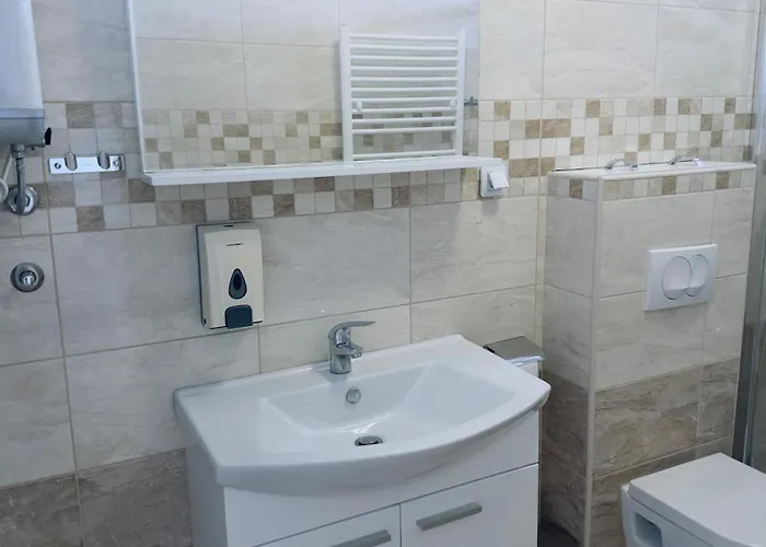 Apartment Poljana Plankit *